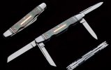 JoelChamblin-congress-4blades.JPG
