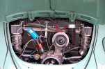 63 Bug   5-2014 007.jpg