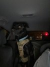 IMG_5096.jpeg