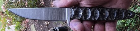 IMG_3201.jpeg