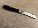 cocobolo 2.JPG