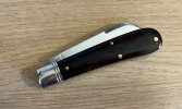 cocobolo 4.JPG