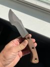 IMG_1599.jpeg