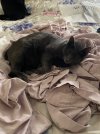 IMG_6552.jpeg