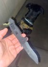 IMG_5292.jpeg