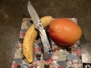 IMG_0891.jpeg