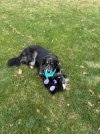 IMG_8588.jpeg