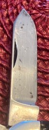IMG_6691.jpeg