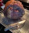 IMG_0562.jpeg