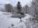 IMG_0676.jpeg