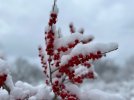 IMG_0687.jpeg