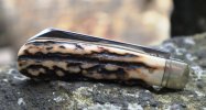 AC Lambsfoot 36-9.JPG