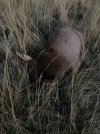 IMG_2651.jpeg