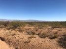 IMG_0211.jpg