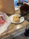 IMG_0555.jpeg
