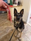 IMG_0568.jpeg