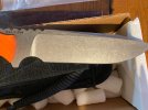 IMG_8585.jpeg