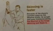 1733178395875.png