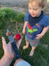 IMG_6478.jpeg