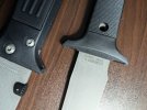 PXL_20241107_181917819.jpg