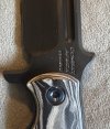IMG_5270.jpeg