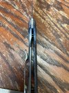 IMG_2925.jpeg