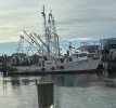 IMG_0741.jpg