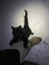 IMG_0433.jpeg