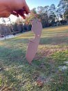 IMG_4200.jpeg
