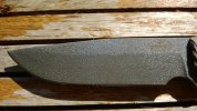 WP_20140519_009.jpg