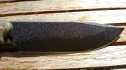 WP_20140519_004.jpg