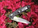 BM940-1Azelia.jpg