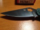 pm233.jpg