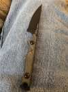 IMG_8741.jpeg