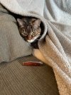 IMG_8743.jpeg