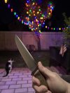 IMG_7006.jpeg