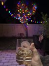 IMG_7008.jpeg