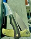 IMG_9909.jpeg