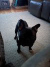 IMG_7047.jpeg