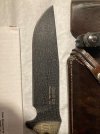 IMG_5582.jpeg IMG_5582.jpeg
