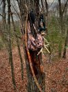 Doe camp-3 - 1.jpeg