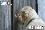 IMG_1714.jpeg