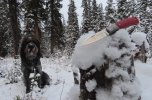 IMG_9873.JPG