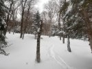 IMG_0844.jpeg