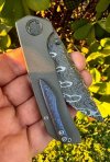 IMG_7793.jpeg