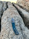 IMG_4538.jpeg