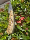 IMG_6632.jpeg