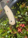 IMG_6646.jpeg
