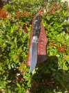 IMG_6651.jpeg