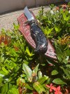 IMG_6654.jpeg